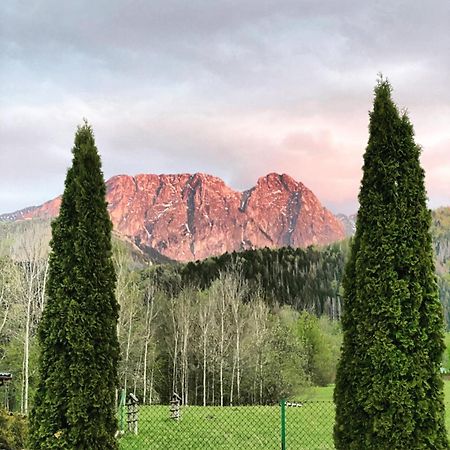 Zolta Turnia Lägenhet Zakopane Exteriör bild